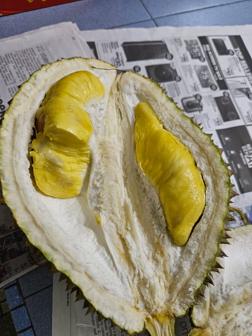 Open Durian